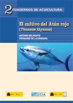 atun_rojo_2