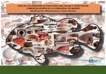 portada_guia_pescados_cam_web