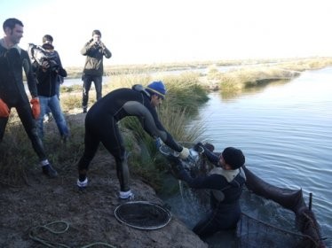 4_jornada_medios_despesque_pistresa_web