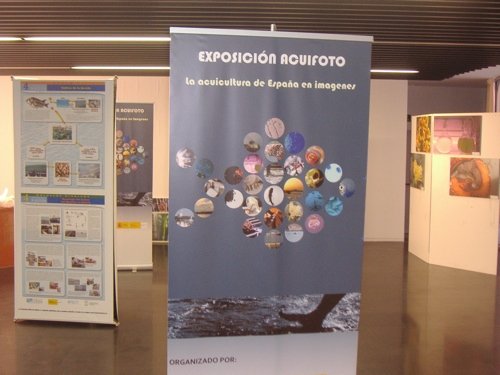acuifoto_from3