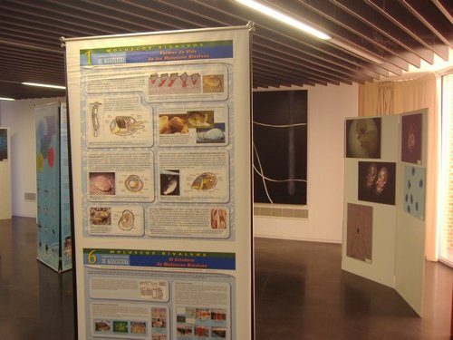 acuifoto_from4