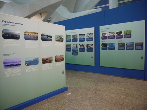 exposicion_valencia_web