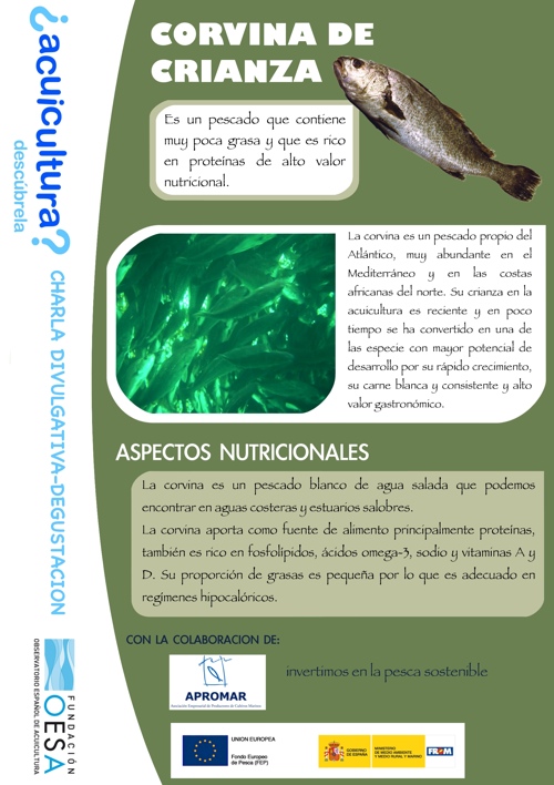 ficha_cara_a_corvina_reducida