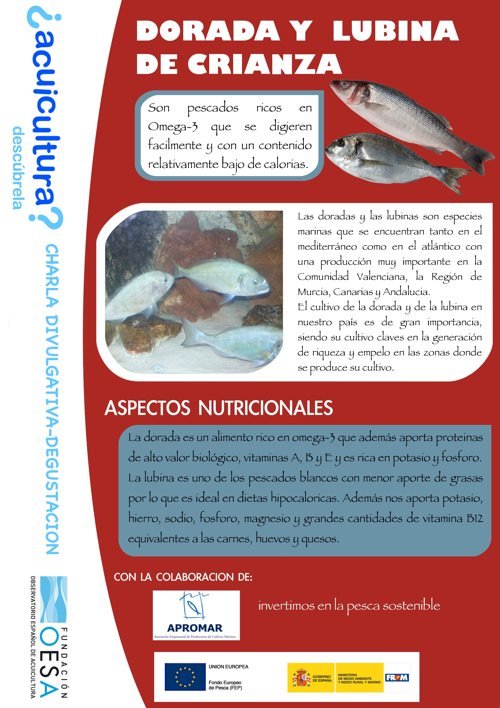 ficha_dorada_web1