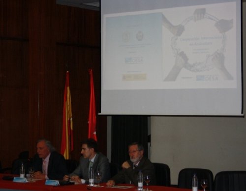 jlgonzalez_remiro_serrano_web