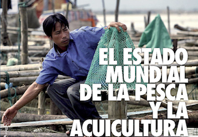 El estado mundial de la pesca y la acuicultura 2016