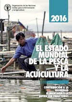 portada_estado_mundial_pesca_acuicultura_fao_2016_web