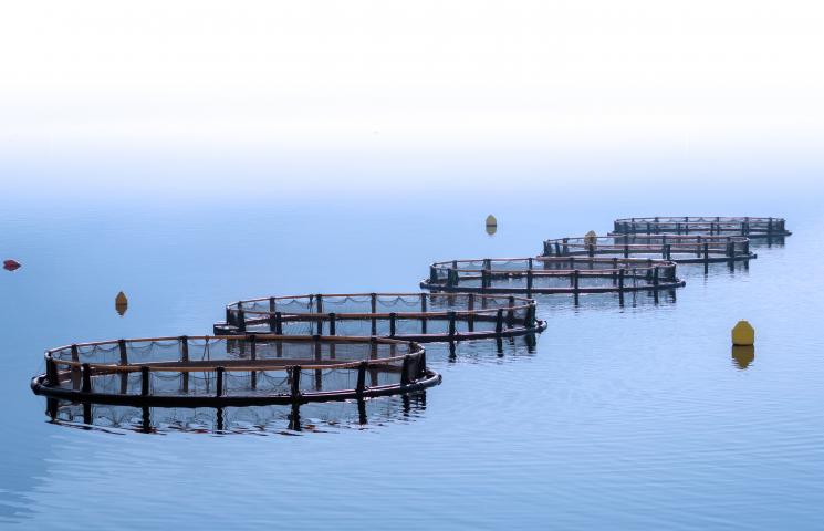 adobestock_109122271