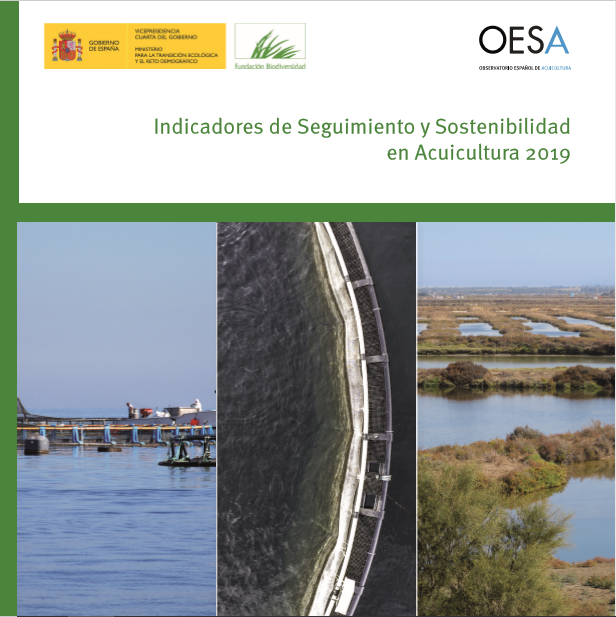 portada_indicadores_seguimiento_2019
