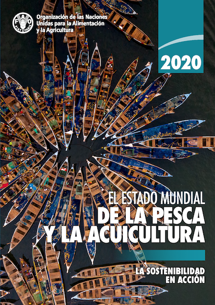 portada_estado_mundial_2020_dr