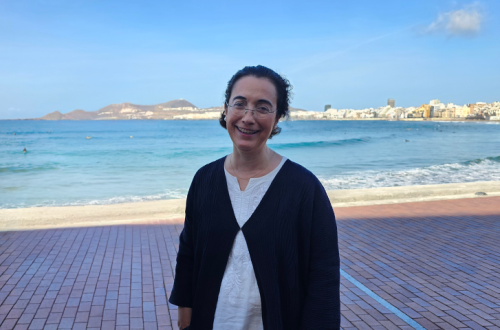 Ana María Mancho, directora del proyecto SIRENA.